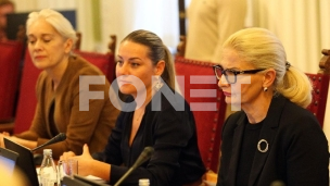 Pripremni zakon o EU